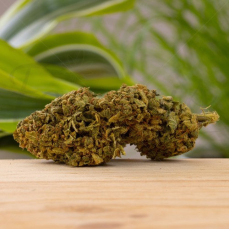 Fleur CBD Amnesia Haze 21,4%