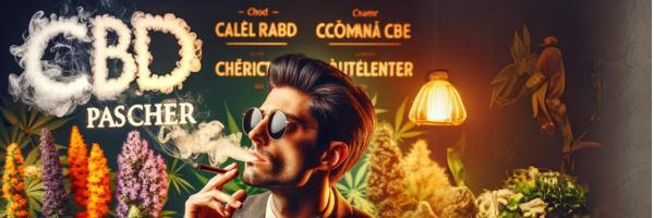 5 meilleures vari&eacute;t&eacute;s CBD pas ch&egrave;res &agrave; fumer